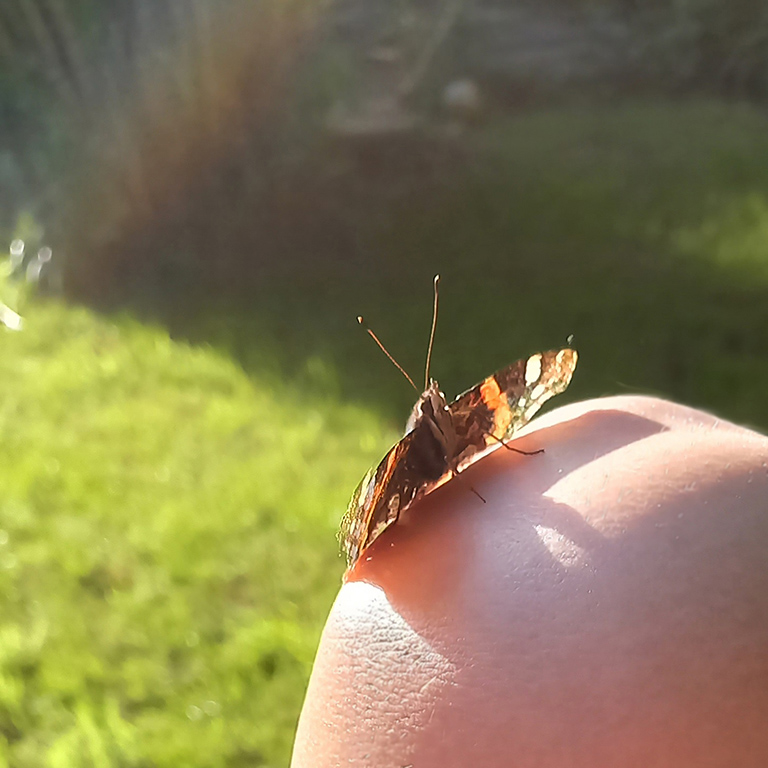 didi klazinga sessies intuĂŻtieve sessie intuĂŻtieve coaching 1-op-1 coaching